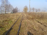 IMG_6387.jpg