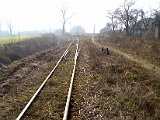 IMG_6389.jpg