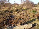 IMG_6471.jpg