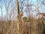 IMG_6472.jpg