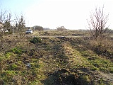 IMG_6474.jpg