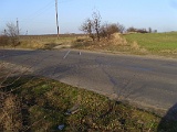 IMG_6475.jpg