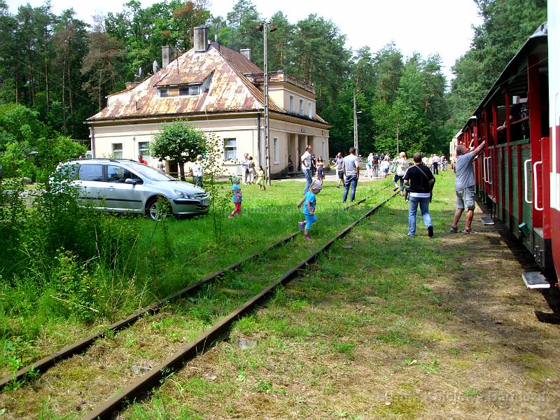 IMG 6954