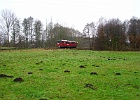 IMG_5888.JPG