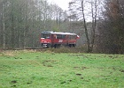 IMG_5889.JPG