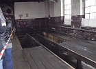 IMG_5890.JPG