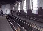IMG_5893.JPG