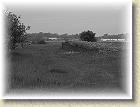 smigielska_kd_008