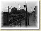 smigielska_kd_018