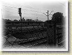 smigielska_kd_019
