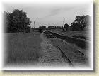 smigielska_kd_098