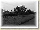 smigielska_kd_099