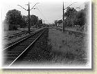 smigielska_kd_104