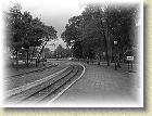 smigielska_kd_109