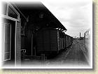 smigielska_kd_118
